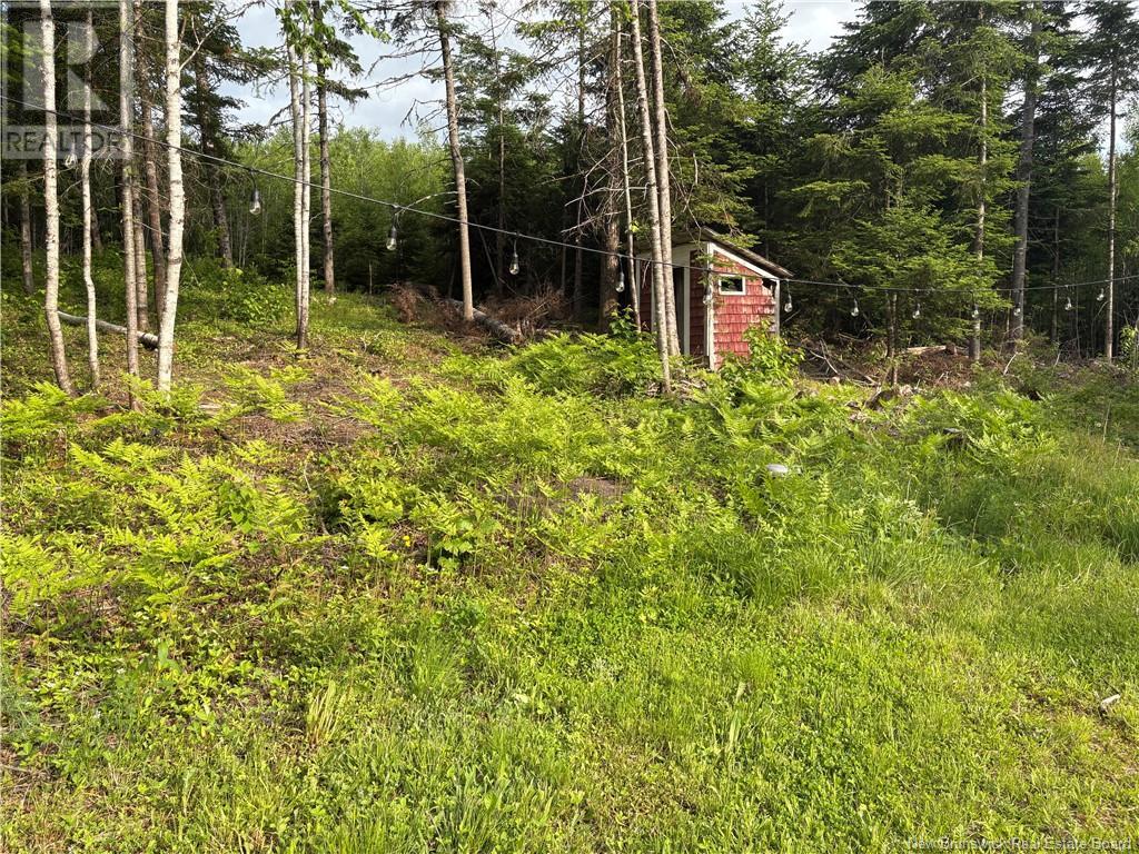 533 Howard Brook Road, Howard Brook, New Brunswick  E7P 2B1 - Photo 18 - NB120900