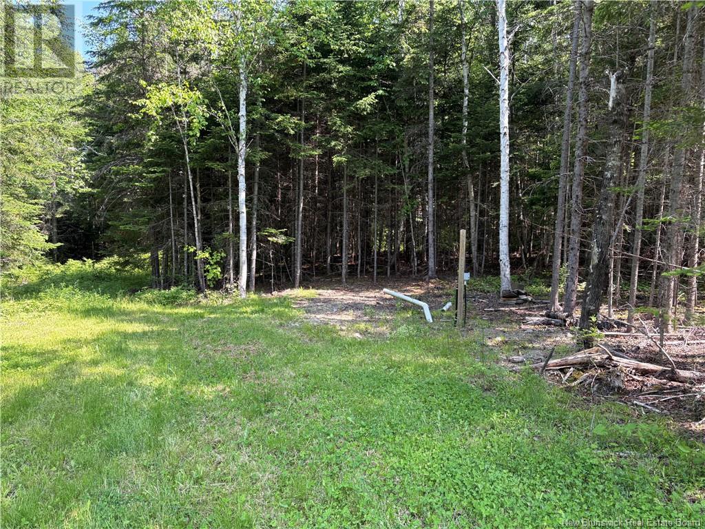 533 Howard Brook Road, Howard Brook, New Brunswick  E7P 2B1 - Photo 6 - NB120900