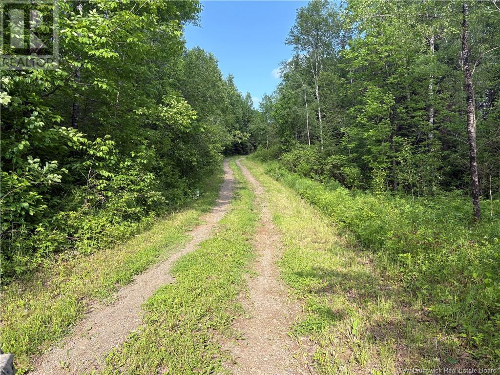 533 Howard Brook Road, Howard Brook, New Brunswick  E7P 2B1 - Photo 17 - NB120898