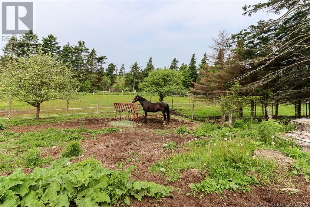 1467 Route 111, Fairfield, New Brunswick  E5R 1Z3 - Photo 13 - NB120579