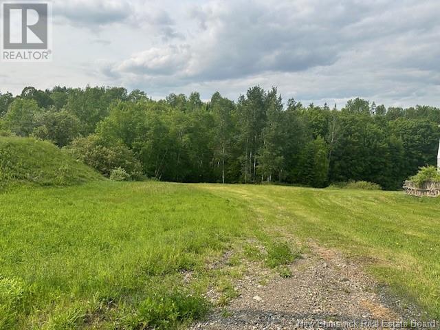 3283 Des Pionniers Avenue, Balmoral, New Brunswick  E8E 1C8 - Photo 18 - NB120910