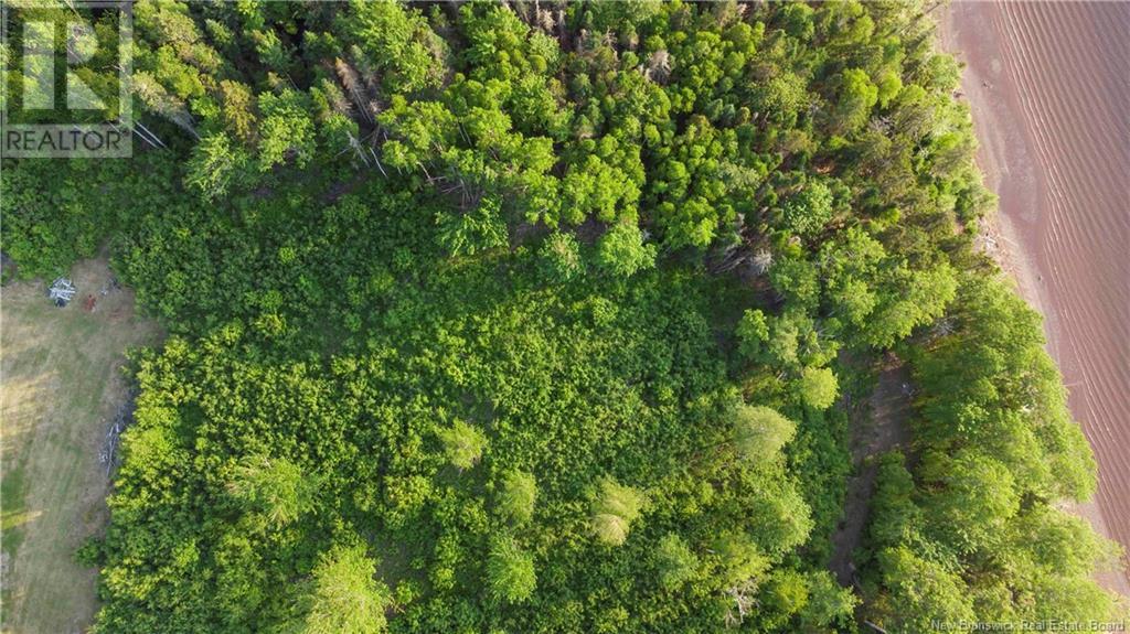 Lot Saint-Joseph, Sainte-Marie-De-Kent, New Brunswick  E4S 2J7 - Photo 13 - NB120884