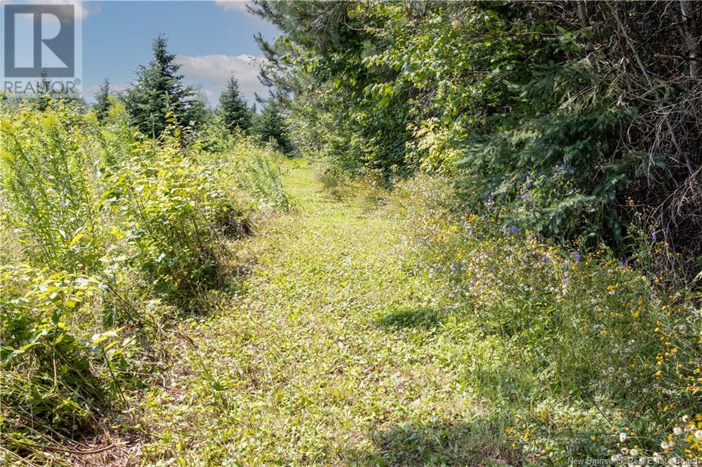 288 Pirie Street, Grand-Sault/grand Falls, New Brunswick  E3Z 2X9 - Photo 43 - NB120983
