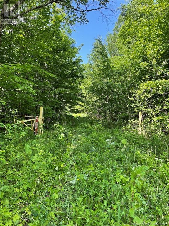 1133 Route 570, Gordonsville, New Brunswick  E7L 2P1 - Photo 11 - NB120994