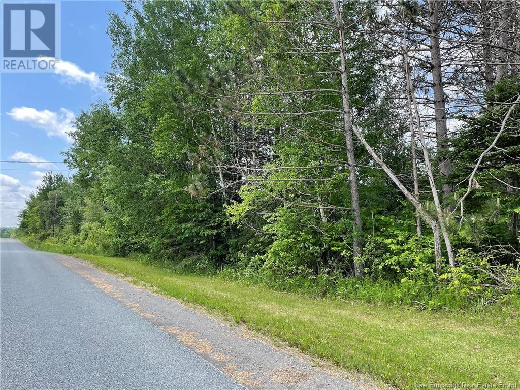 1133 Route 570, Gordonsville, New Brunswick  E7L 2P1 - Photo 3 - NB120994
