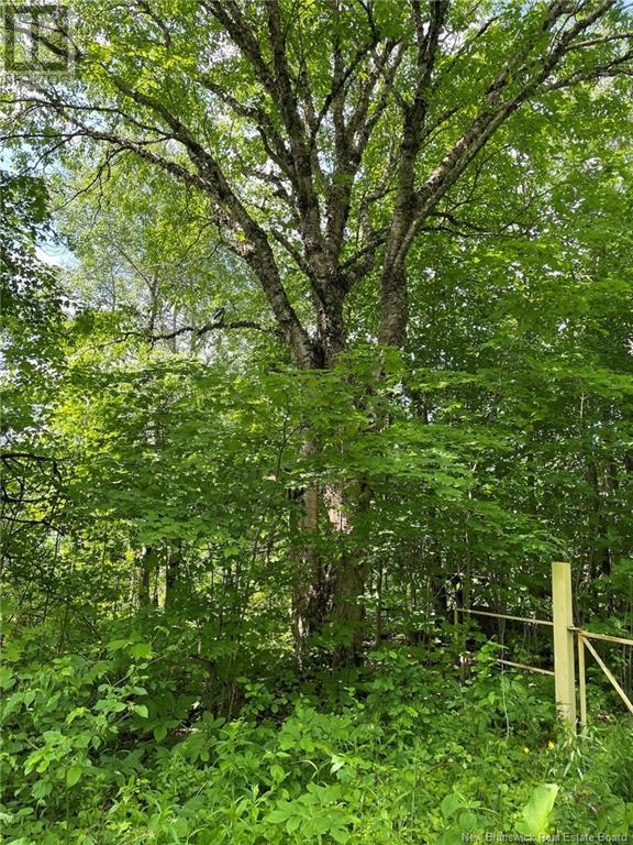 1133 Route 570, Gordonsville, New Brunswick  E7L 2P1 - Photo 4 - NB120994