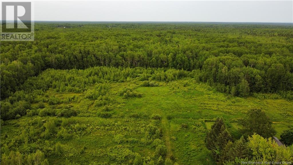 2169 Route 490, Ammon, New Brunswick  E1G 3P3 - Photo 21 - NB121058