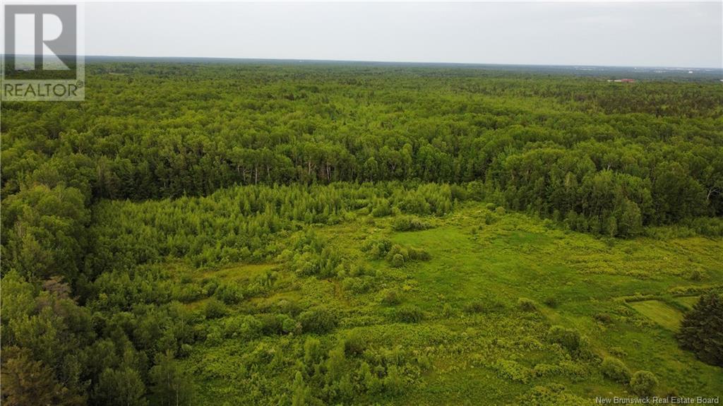 2169 Route 490, Ammon, New Brunswick  E1G 3P3 - Photo 22 - NB121058