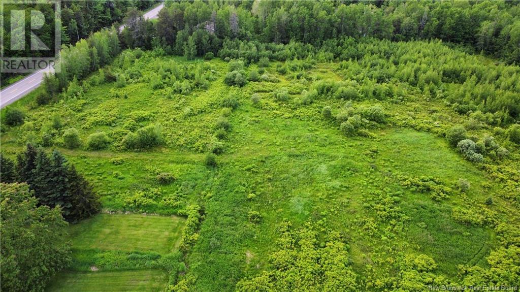 2169 Route 490, Ammon, New Brunswick  E1G 3P3 - Photo 25 - NB121058