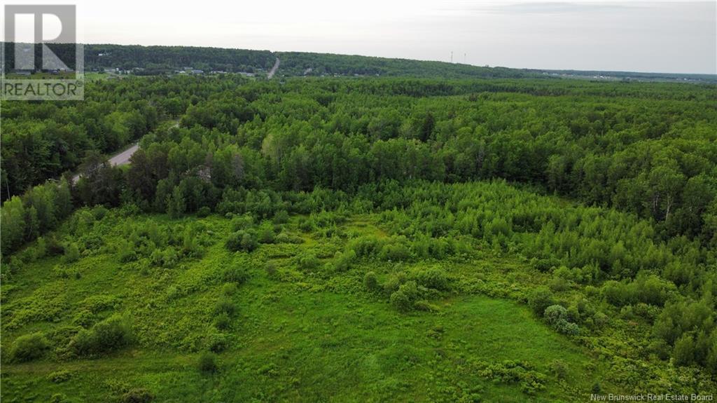 2169 Route 490, Ammon, New Brunswick  E1G 3P3 - Photo 26 - NB121058