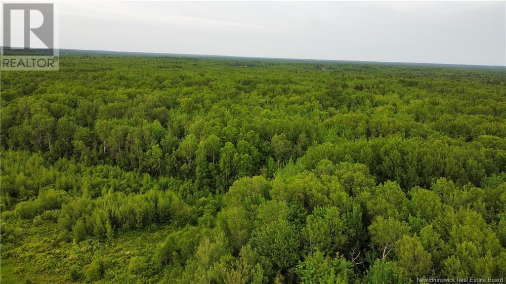 2169 Route 490, Ammon, New Brunswick  E1G 3P3 - Photo 27 - NB121058