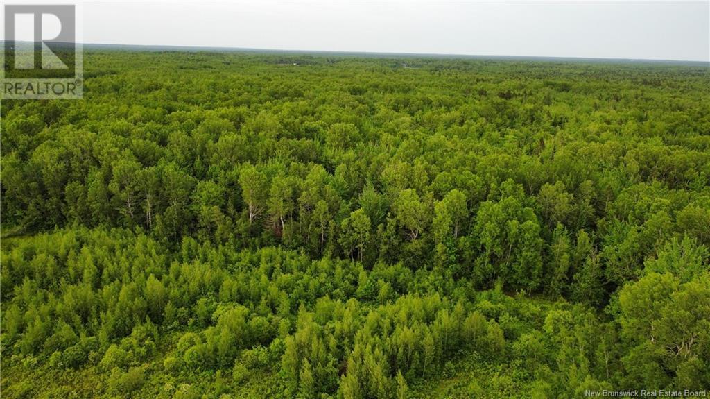 2169 Route 490, Ammon, New Brunswick  E1G 3P3 - Photo 30 - NB121058
