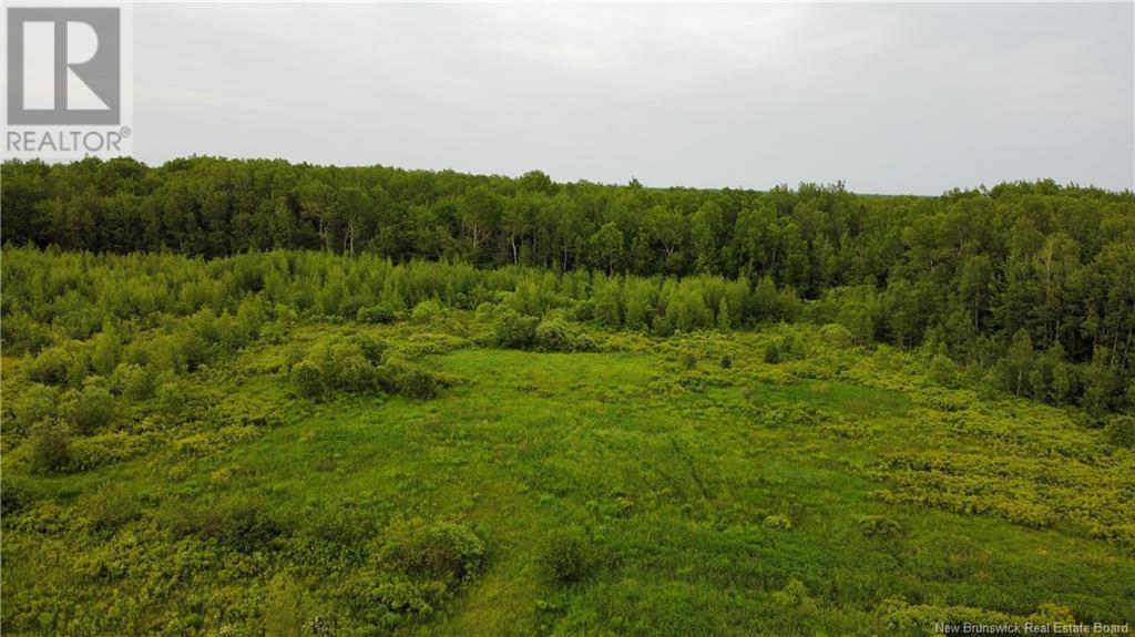 2169 Route 490, Ammon, New Brunswick  E1G 3P3 - Photo 31 - NB121058