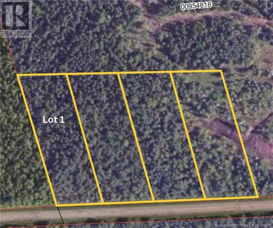Lot 1 - 3347 Route 112, Second North River, New Brunswick  E4J 2V3 - Photo 2 - NB121003