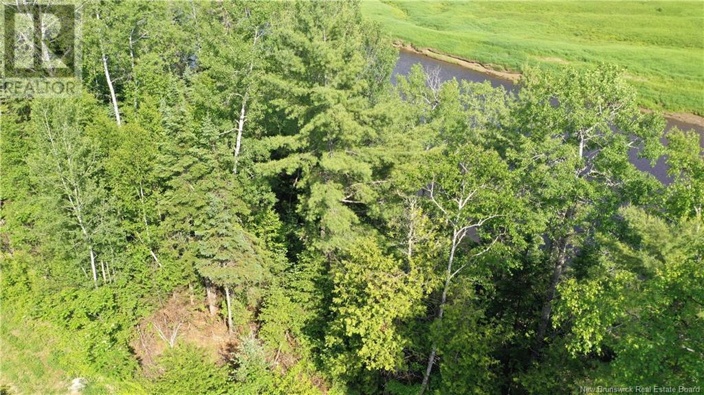 614 Howard Road, Upper Blackville, New Brunswick  E9B 2K6 - Photo 5 - NB121050