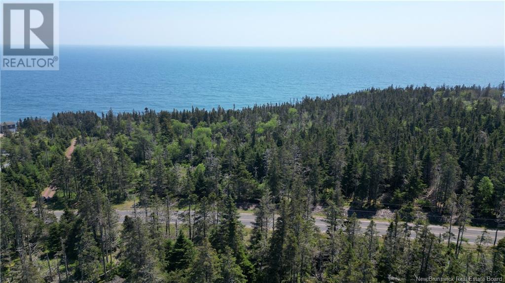 Lot 01-07 Route 776, Grand Manan, New Brunswick  E5G 4K5 - Photo 11 - NB121191