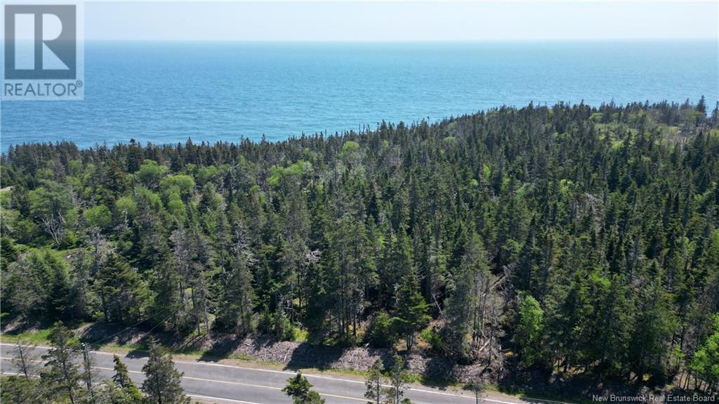 Lot 01-07 Route 776, Grand Manan, New Brunswick  E5G 4K5 - Photo 13 - NB121191