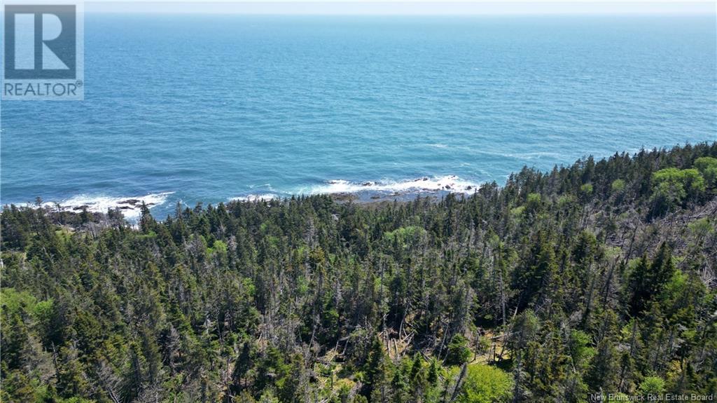 Lot 01-07 Route 776, Grand Manan, New Brunswick  E5G 4K5 - Photo 14 - NB121191