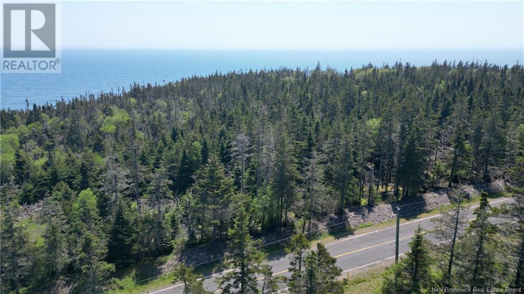Lot 01-07 Route 776, Grand Manan, New Brunswick  E5G 4K5 - Photo 16 - NB121191