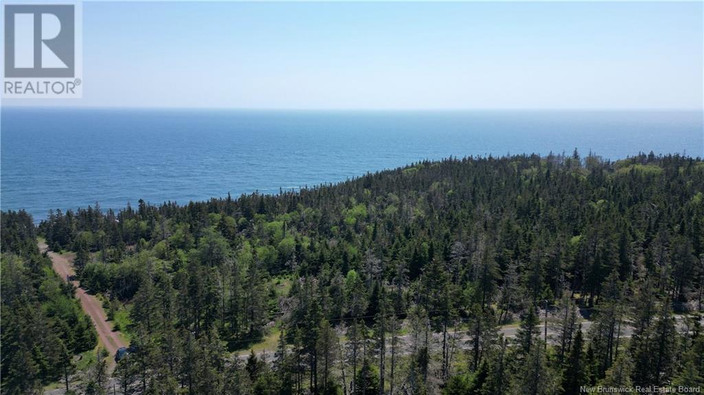 Lot 01-07 Route 776, Grand Manan, New Brunswick  E5G 4K5 - Photo 6 - NB121191