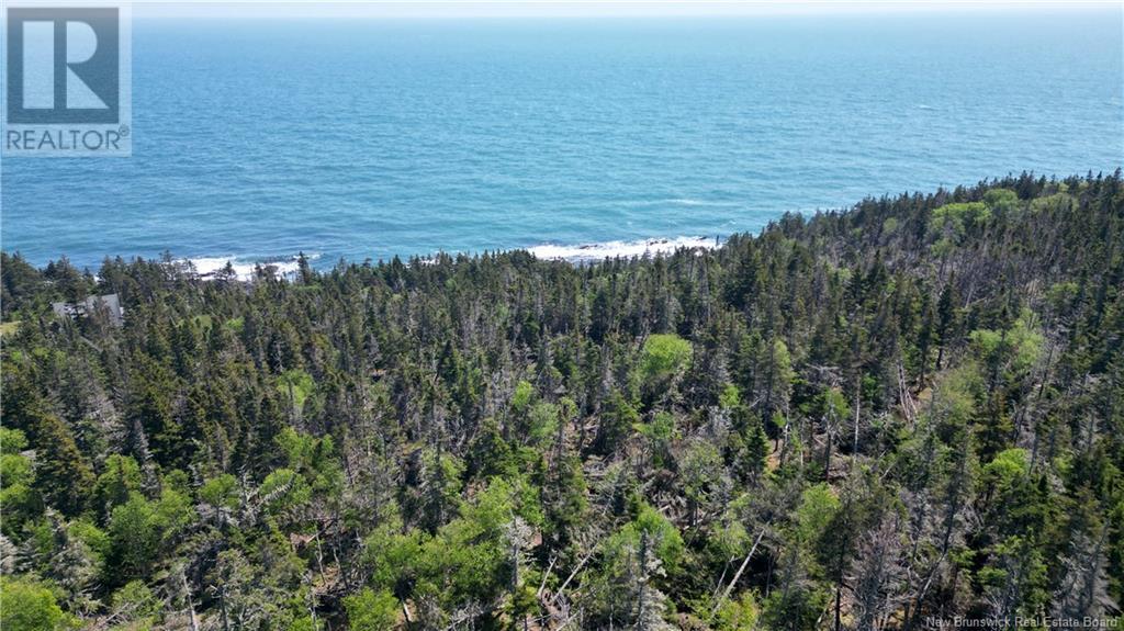 Lot 01-07 Route 776, Grand Manan, New Brunswick  E5G 4K5 - Photo 7 - NB121191