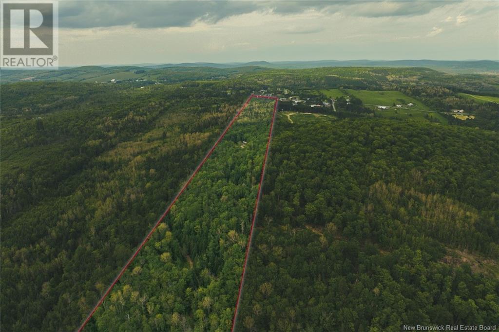 Camp Mgr Lang Road, Saint-Basile, New Brunswick  E7C 2B1 - Photo 16 - NB120707