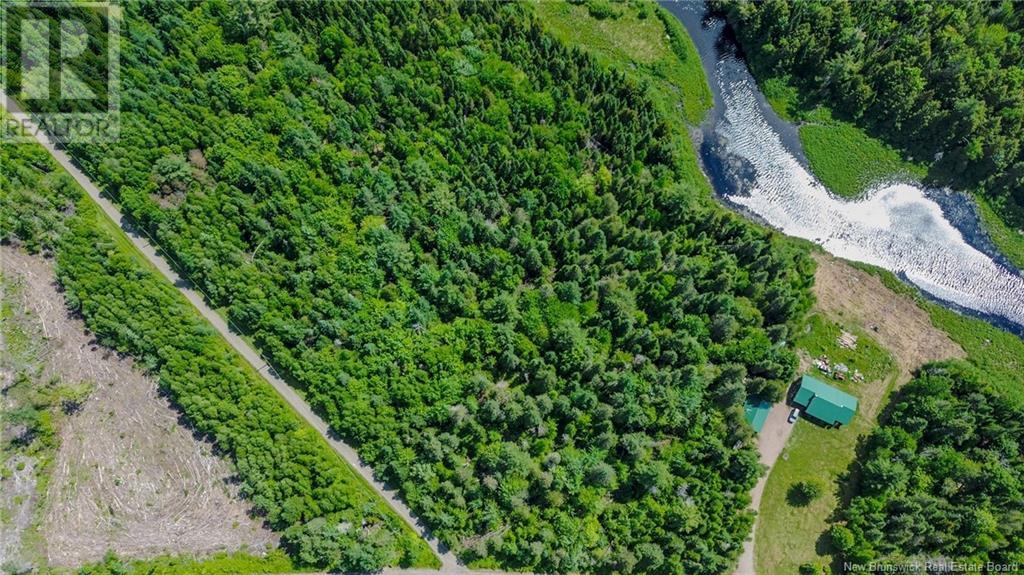 Lot Route 635, York Mills, New Brunswick  E6K 1J7 - Photo 2 - NB121225