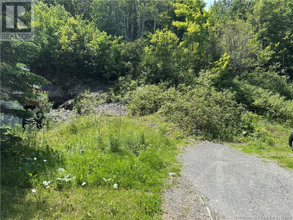 330 Canada Road, Edmundston, New Brunswick  E3V 1W1 - Photo 5 - NB121229