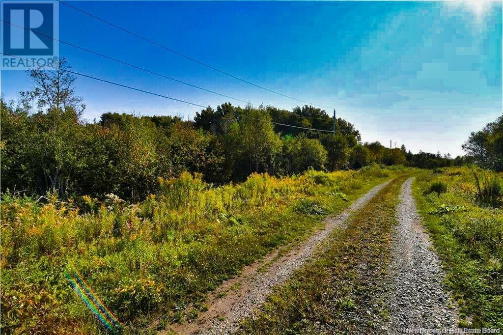 12 Castle Court, Wilsons Beach, New Brunswick  E5E 1X4 - Photo 10 - NB121179
