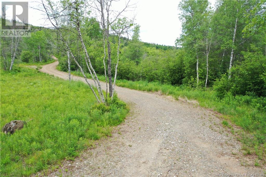 Route 121, Riverbank, New Brunswick  E5T 4Z5 - Photo 20 - NB120681