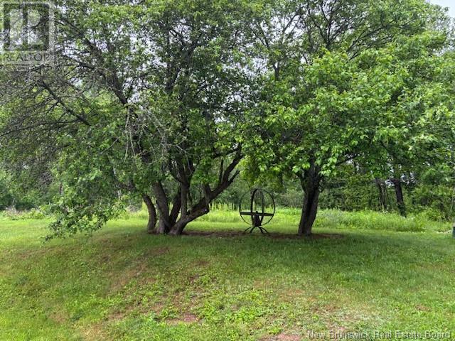 390 Route 870, Collina, New Brunswick  E5P 1R3 - Photo 23 - NB121007