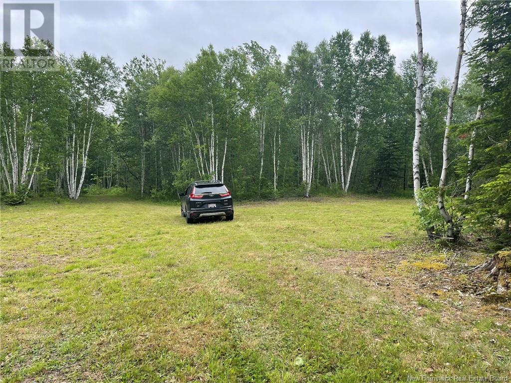 09-17 Route 105, Jemseg, New Brunswick  E4C 3K7 - Photo 2 - NB121303