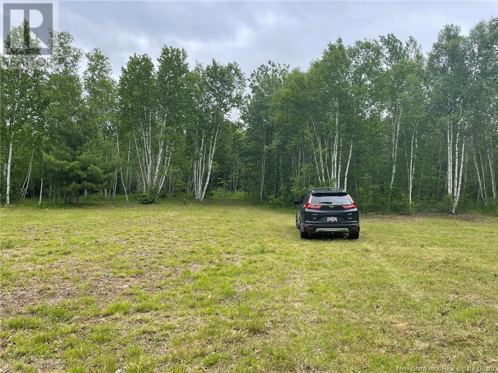 09-17 Route 105, Jemseg, New Brunswick  E4C 3K7 - Photo 3 - NB121303