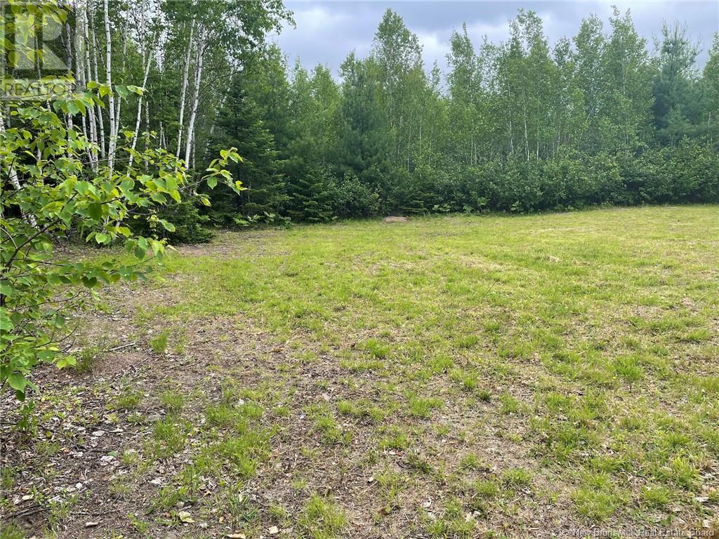 09-17 Route 105, Jemseg, New Brunswick  E4C 3K7 - Photo 6 - NB121303