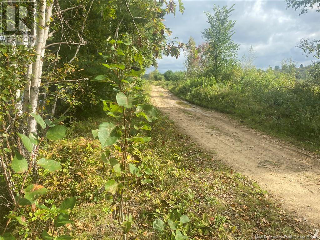 8562 Sqm Cains River Road, Upper Blackville, New Brunswick  E9B 2H8 - Photo 4 - NB121345