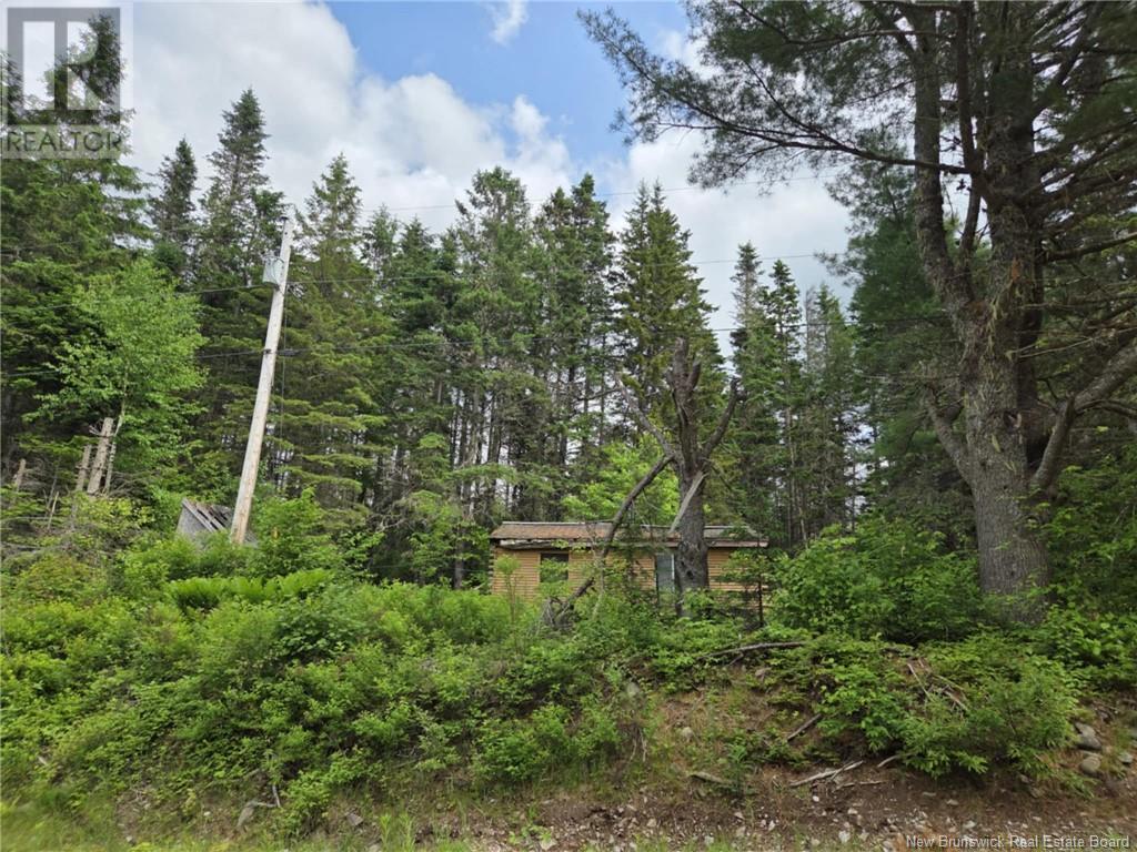 770 West Scotch Settlement Road, Springfield, New Brunswick  E5T 2N7 - Photo 2 - NB121222