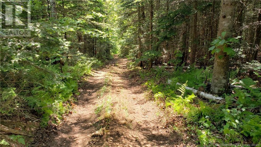 602 Route 855, Norton, New Brunswick  E5T 2B8 - Photo 27 - NB121379