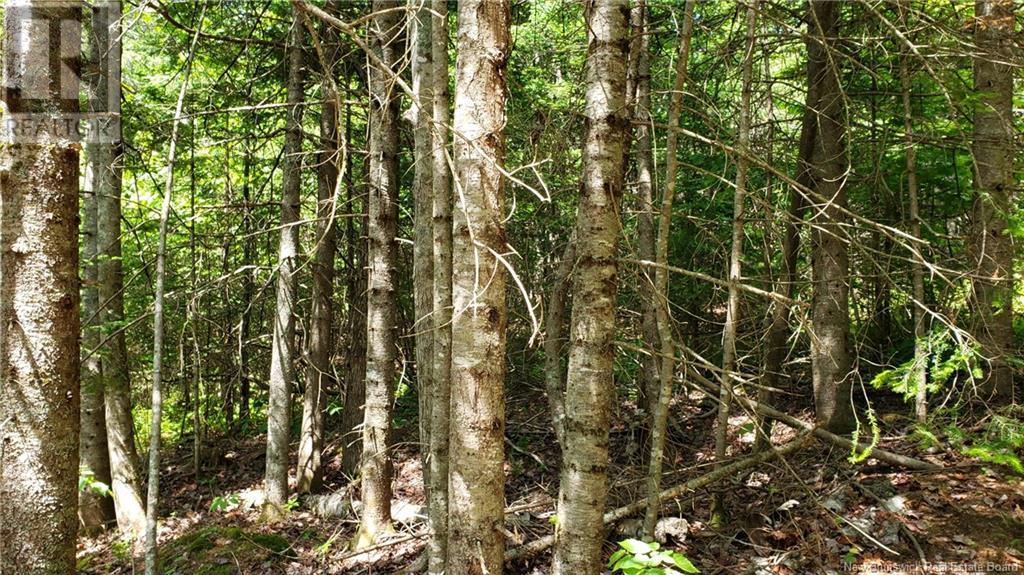 602 Route 855, Norton, New Brunswick  E5T 2B8 - Photo 28 - NB121379