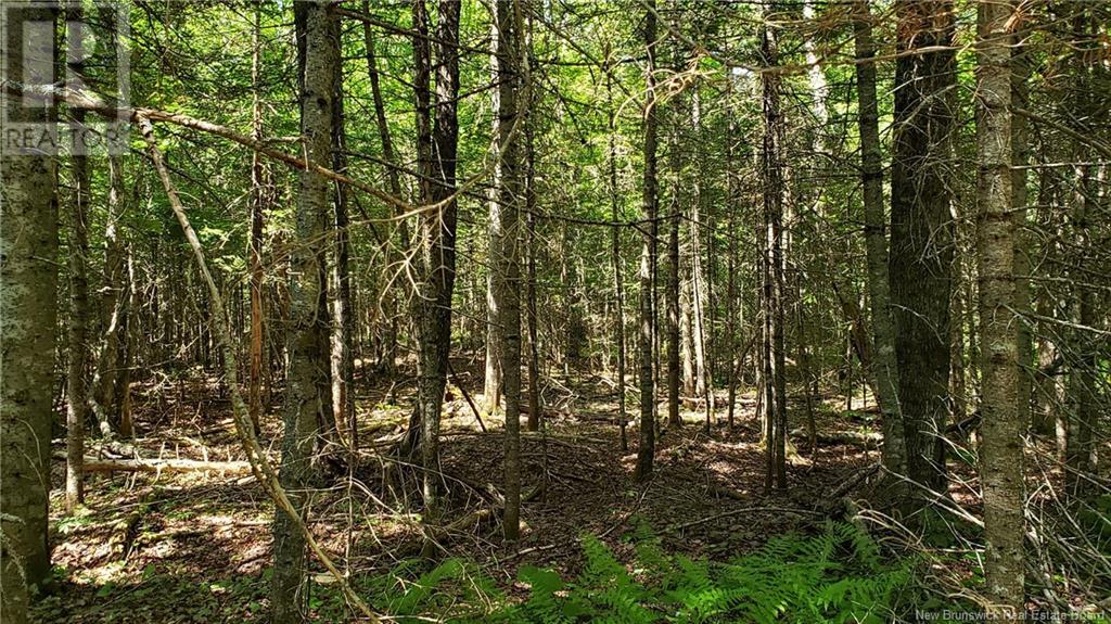 602 Route 855, Norton, New Brunswick  E5T 2B8 - Photo 29 - NB121379