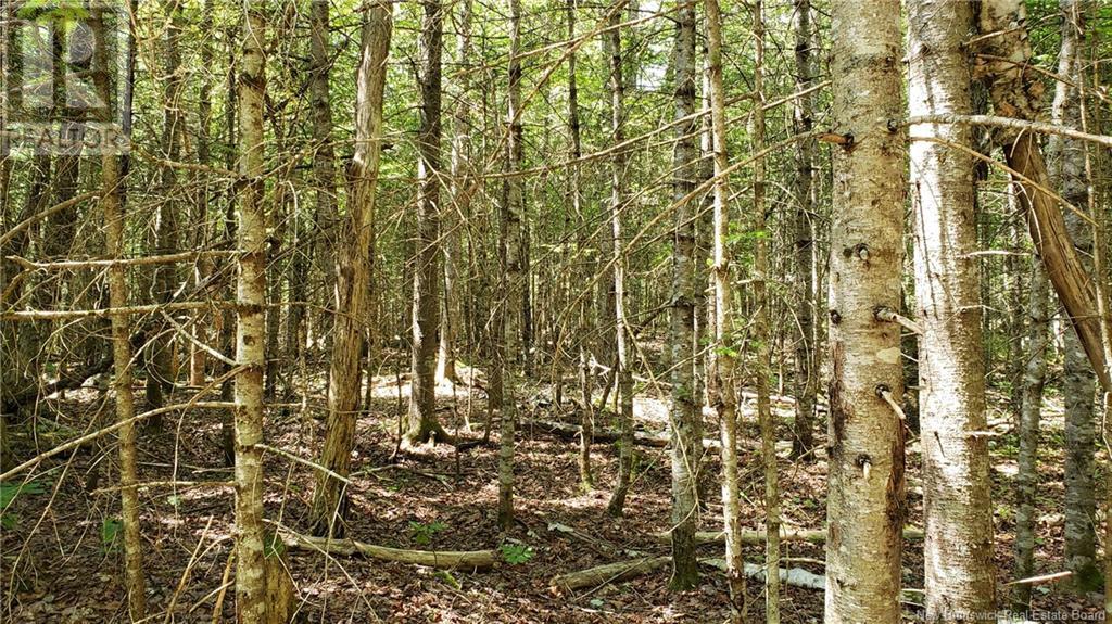 602 Route 855, Norton, New Brunswick  E5T 2B8 - Photo 30 - NB121379