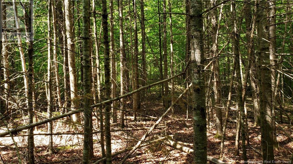 602 Route 855, Norton, New Brunswick  E5T 2B8 - Photo 31 - NB121379
