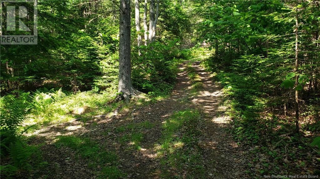 602 Route 855, Norton, New Brunswick  E5T 2B8 - Photo 33 - NB121379