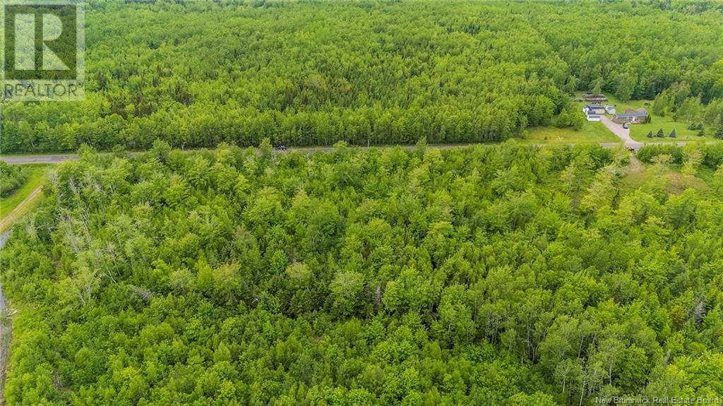 Lot 17-2 Collins Lake Road, Shemogue, New Brunswick  E4N 2N1 - Photo 10 - NB121209