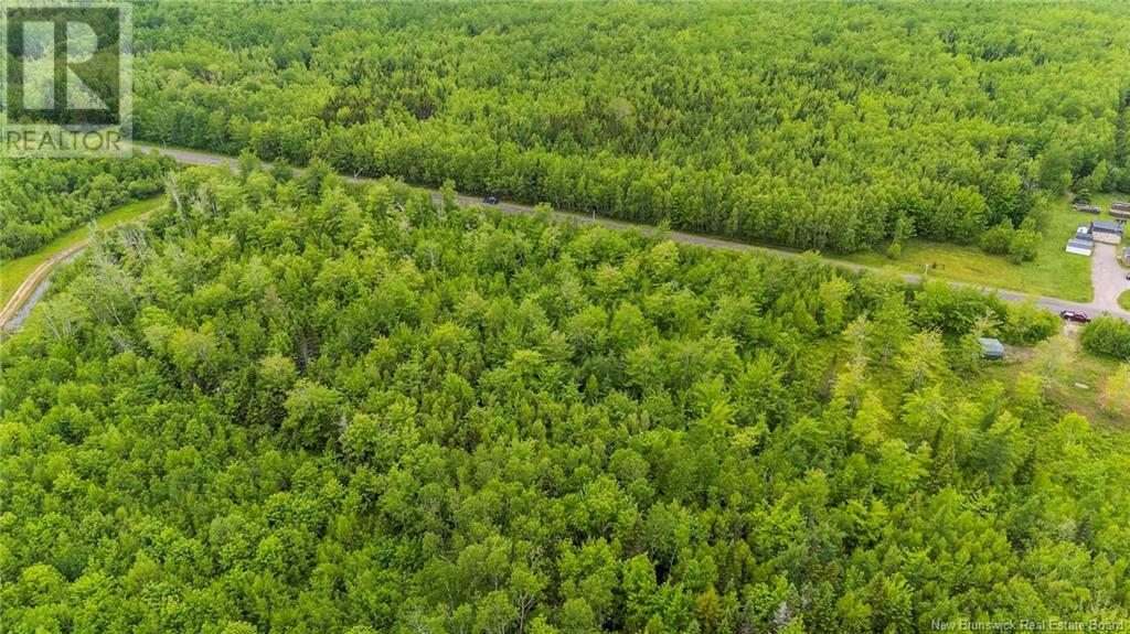 Lot 17-2 Collins Lake Road, Shemogue, New Brunswick  E4N 2N1 - Photo 11 - NB121209