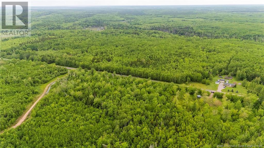 Lot 17-2 Collins Lake Road, Shemogue, New Brunswick  E4N 2N1 - Photo 12 - NB121209