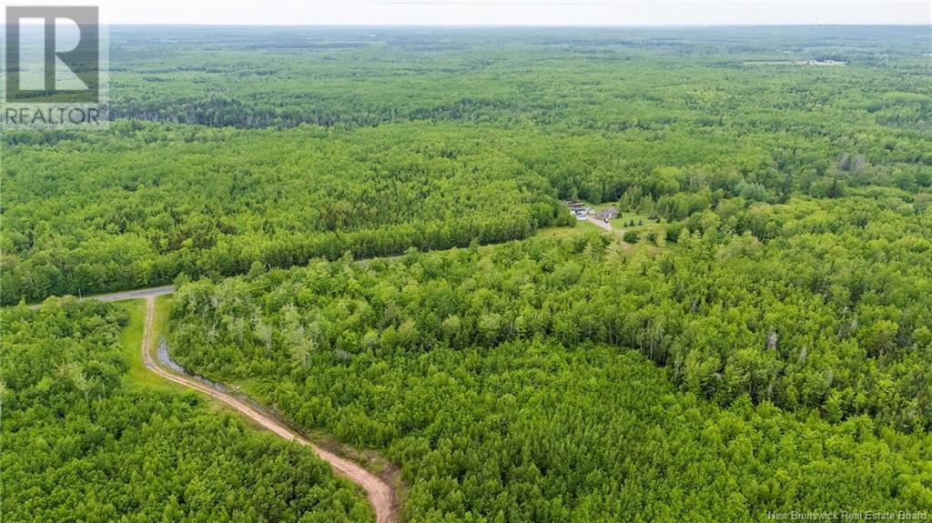 Lot 17-2 Collins Lake Road, Shemogue, New Brunswick  E4N 2N1 - Photo 14 - NB121209