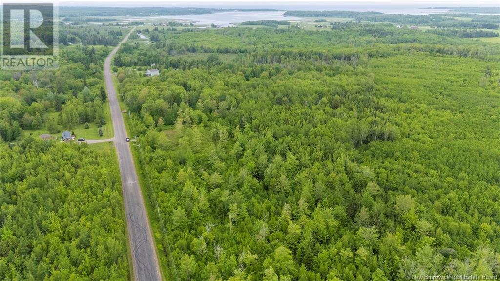 Lot 17-2 Collins Lake Road, Shemogue, New Brunswick  E4N 2N1 - Photo 16 - NB121209