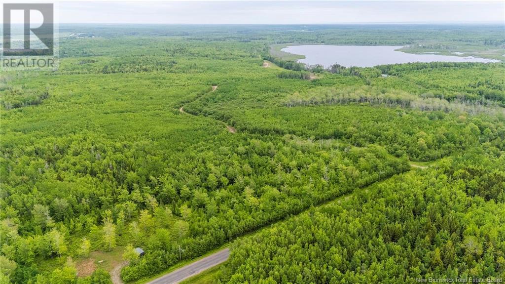 Lot 17-2 Collins Lake Road, Shemogue, New Brunswick  E4N 2N1 - Photo 2 - NB121209