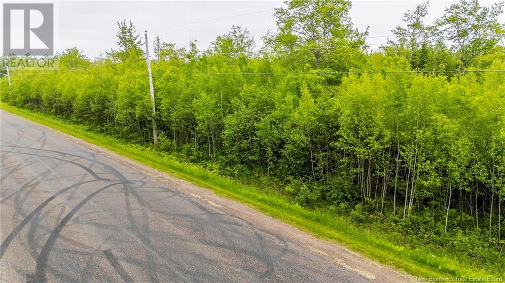 Lot 17-2 Collins Lake Road, Shemogue, New Brunswick  E4N 2N1 - Photo 4 - NB121209