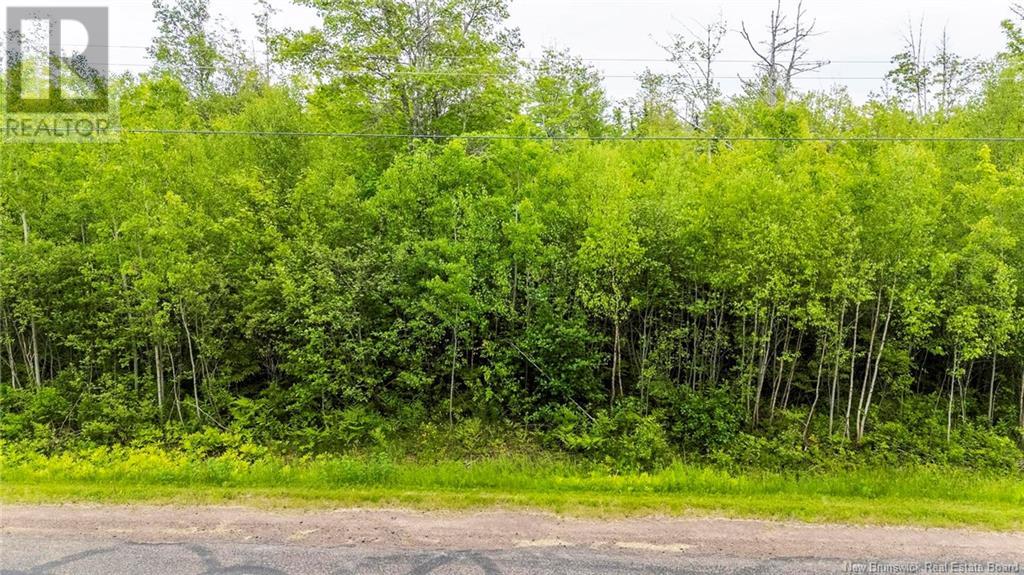 Lot 17-2 Collins Lake Road, Shemogue, New Brunswick  E4N 2N1 - Photo 5 - NB121209